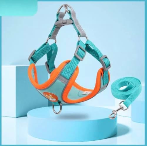 Coleira Peitoral para cachorro pequenos e médios com guia para pe...