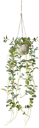 ポピー 造花の観葉植物 フィットニアハンギング