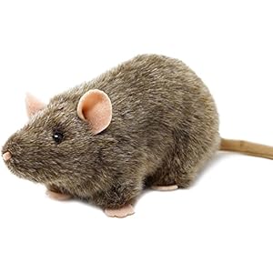 Reuben The Rat – 7 Inch Stuffed Animal Plush Mouse – by TigerHart Toys