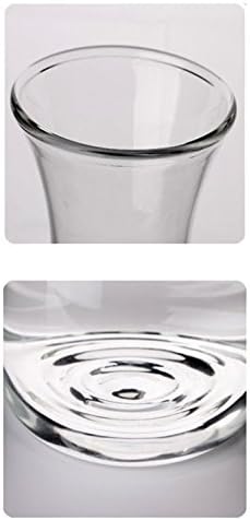 Artcome 35 Oz Fridge Carafe Ice Tea Maker Water Carafe with Stainless Steel Flow Lid, Borosilicate Glass Water Pitcher