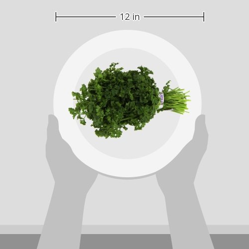 Curly Parsley, One Bunch