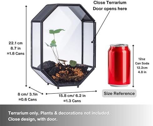 NCYP Glass Enclosure Terrarium with Mesh and Door for Jumping Spiders, Snails, Insects - Octagon Shape Small Terrarium 6.2 x 3.1 x 8.7 inches, Black Tabletop Decor (Plants Not Include) - 3