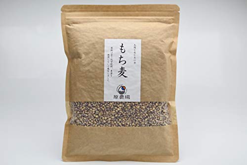 原農場のもち麦（500ｇ×2　合計1ｋｇ）　無農薬・無化学肥料栽培のもち麦