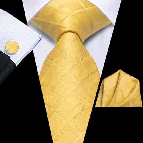 Image of Dubulle Mens Paisley Floral Silk Tie for Men Striped Necktie and Pocket Square Cufflinks Set Wedding Business