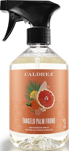 Caldrea Multi-surface CounterTop Spray Cleaner, Made With Vegetable Protein Extract, Tangelo Palm Frond Scent, 16 Oz