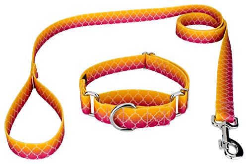 Country Brook Petz - Fabulous Ombre Martingale Dog Collar And Leash - Abstract Collection With 5 Geometric Designs (1 Inch, Large) #TOP25