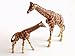 Produktbild Schleich Giraffen-Set 14320 Giraffenkuh & 14321 Giraffenbaby [Spielzeug]