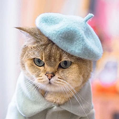 Colorful Cat Dog Beret, Creative Pet Wool Cap Accessories Pet Costume Decor Solid Color Pet Headwear(Pink) #TOP6