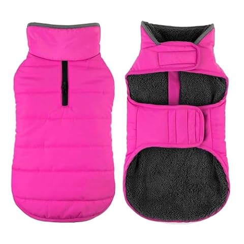 Petglad Waterproof Dog Winter Coat, Warm Fleece Dog Jacket with Leash Hole — $24.64 (15% off)