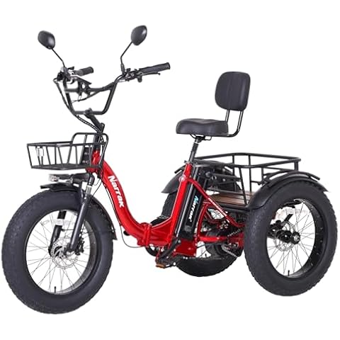 NARRAK Electric Tricycle 750W Cover