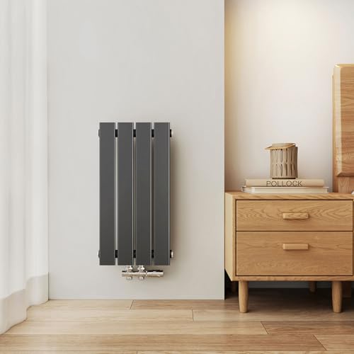 EMKE Design Heizkörper Klein, 600x304 mm Vertikal Flachheizkörper mit Mittelanschluss, Einlagig Anthrazit Paneelheizkörper Wandheizkörper für Bad, Flur& Wohnzimmer, 210W