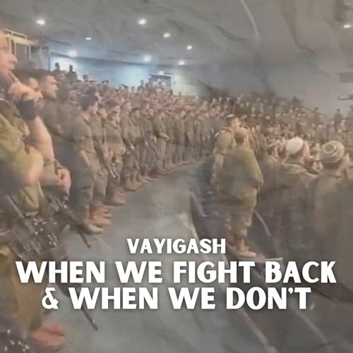 Vayigash - When We Fight Back & When We Don't Podcast Por  arte de portada