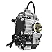 munirater Carburetor Carb Assembly Replacement for YFM 250 2WD 1999-2004