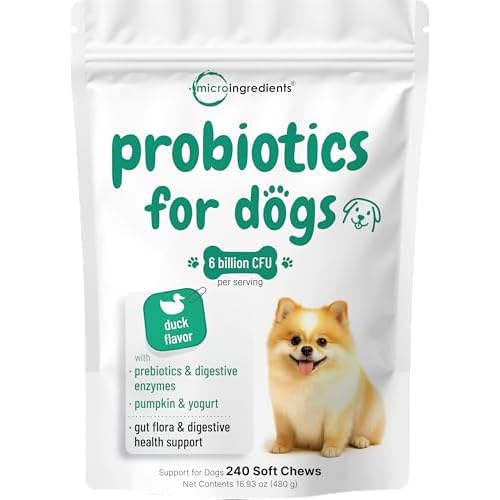 Micro Ingredients Probiotics for Dogs, 240 Soft Chews | 6 Billion CFU with Prebiotics, Enzymes & Pumpkin | Supports Digestion, Gut Flora, & Immune Function* | Duck Flavor | Non-GMO, All Ages