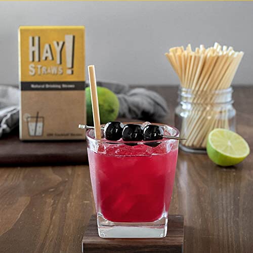 Hay! Straws Cocktail Straw | 100Ct | 5" | 100% Biodegradable, 100% Plant-Based, Never Soggy, Gluten-Free | Sustainable Alternative To Plastic & Bioplastic Straws #TOP1
