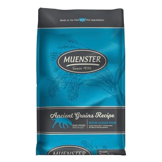 Muenster Ancient Grains Ocean Fish Dry Dog Food, 22lb - Gluten-Free, High Protein, Digestive Support