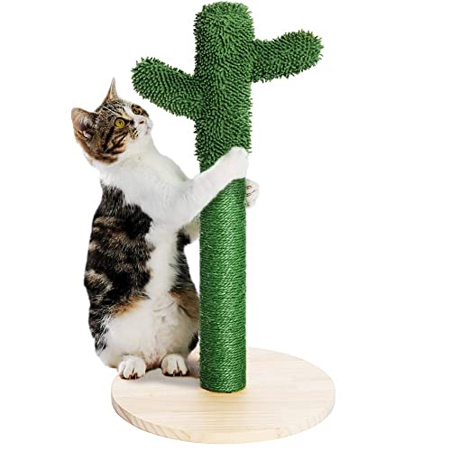 BAKAJI Tiragraffi Graffiatoio Cactus Albero Forma Pianta per Gatti Animali Felini Colore Verde con Fiore Interattivo per Unghie Antigraffio Giocattolo Stabile Resistente Robusto Corda in Canapa