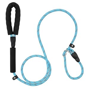 Dog Leash 6 FT with Comfortable Padded Handle, Training Loop Leash with Highly Reflective Threading for Medium Dogs, Blue