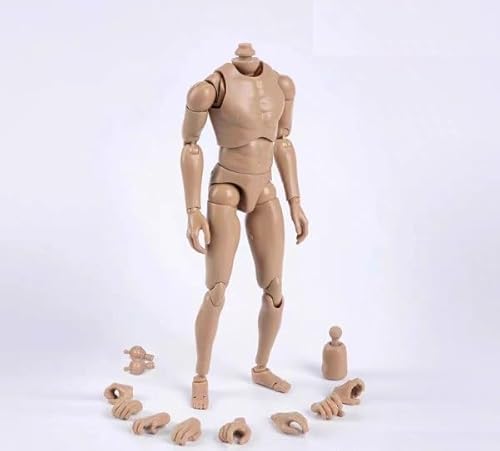 [TOYBARJAPAN] 1/6 �A�N�V�����t�B�M���A ZYTOYS ZY-B001 �j���f�� �A�N�V�����{�f�B