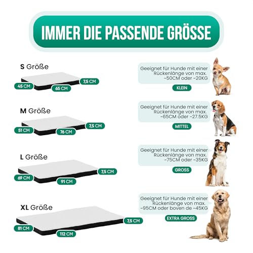 Avalo Orthopädisches Hundebett S - 45x65 cm - Waschbar/Memory Foam/Anti-Rutsch - Orthopädisches Hundekissen