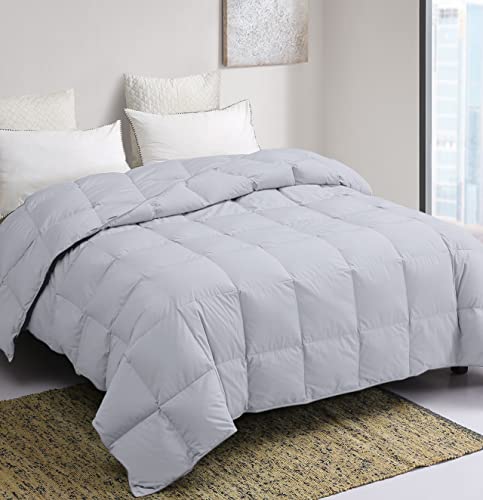 Acrafsman Summer Wight Comforter King Size, Extra Lightweight Duvet Insert for Summer,Noiseless&Extra Soft,Light Grey,106x90 Inches