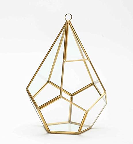 Floralcraft Wall Mount Hanging Teardrop Terrarium, Gold (h26 x w17cm), Flower Display Planter Pot for Succulent Fern Moss Cacti