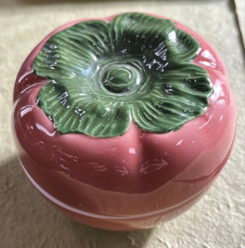 �L�c�� �`�^�W�� ���� �������� �C���e���A �u��