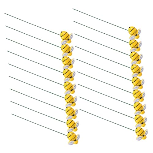 FONDOTIN p~co`̍Y 30 K[fpAx ό󐫂ƎRȑ`̉O뉀tBMA Ő̌iωo