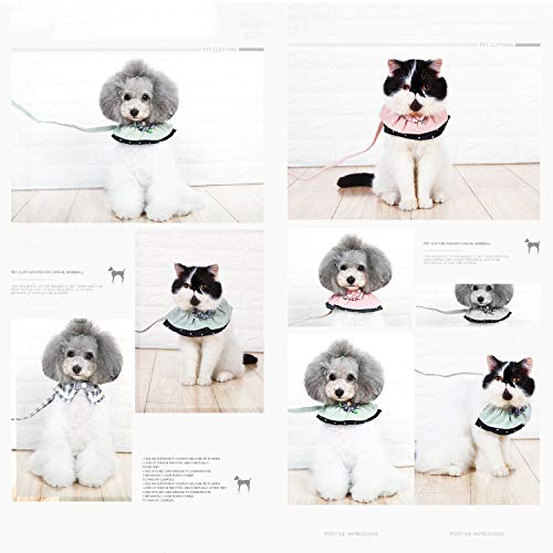 Dog Cat Chest Strap Real-World Use
