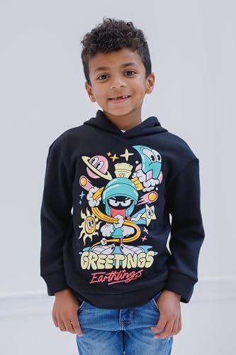 Looney Tunes Warner Bros Fleece Pullover Hoodie Toddler to Big Kid Sizes (4T - 18-20)2
