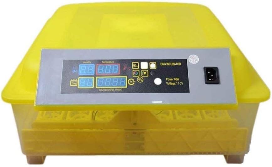 Incubatori Incubatrice Digitale Completamente Automatica for 48 Uova di Gallina, Oca e Anatre, con Controllo Intelligente della Temperatura.(Dual Power Supply)
