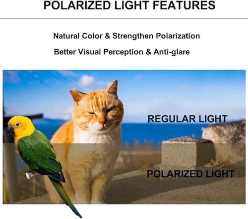 Image of Polarized Tinted Blue Bubble Small Bird Carrier Travel Cage, Portable Bird Carry Backpack with Stainless Steel Tray and Standing Perch for Parakeet Cockatiel Budgies