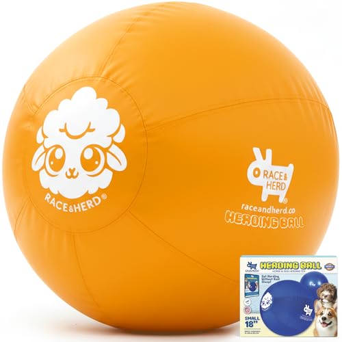 RaceHerd-18-Original-XXL-Herding-Ball-for-Dogs-Herding-Toys-Giant-Dog-Ball-for-Australian-Shepherds-Border-Collies-Durable-Dog-Outdoor-Training-Toy-for-Small-Breeds-Gold Race&Herd 18" Original XXL Herding Ball for Dogs - Herding Toys, Giant Dog Ball for Australian Shepherds, Border Collies - Durable Dog Outdoor Training Toy for Small Breeds (Gold) - Image 1