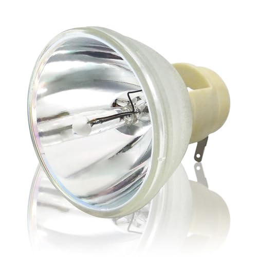 Lampe P-VIP 280/0.9 E20.9 remplace ampoule grillée Optoma SP.8UP01GC01