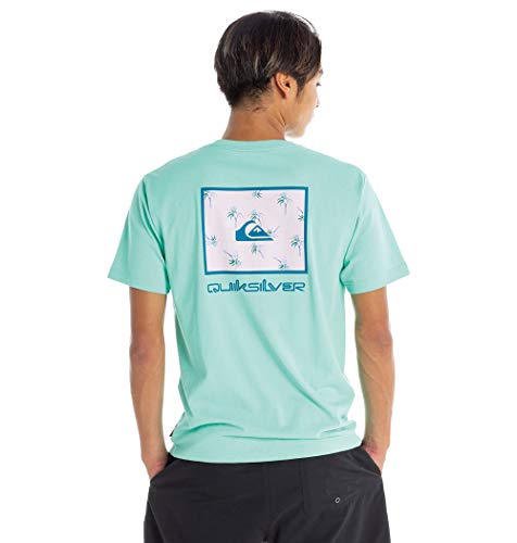 [クイックシルバー] Tシャツ MYSTIC BOX ST メンズ MIN S