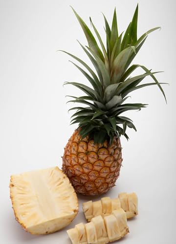 リピーター続出の希少種パイン!パイナップル 沖縄 西表島 熟鮮ホワイトココⓇ 3kg 2〜3玉 ココナッツに似た香り 果物 フルーツ デザート[029-a009_2026]