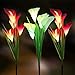 Wosports 3 Pack Solar Lights Outdoor Garden Stake Flower Lights with Total 12 Lily Flower, Multi Color Changing LED Lily Solar Powered Lights for Patio, Lawn, Garden, Yard Decoration