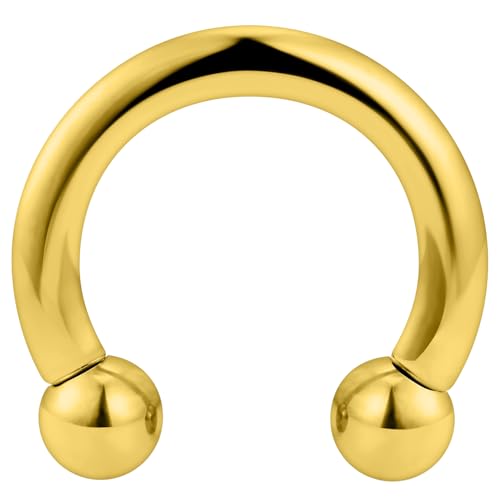 Yaalozei 10G Gold Spetum Rings Ear Gauges Earring Plug Tunnel Streching Kit Surgical Stainless Steel Horseshoe Wide Big Septum Nose Prince Albert PA Hoop Earring Ring Piercing Jewelry Women Men 10mm