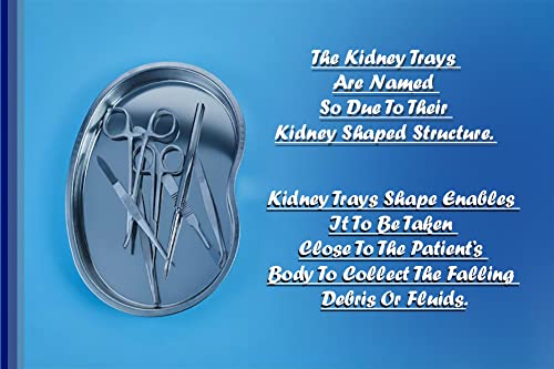 New 10" Kidney Bowl Basin Emesis Trays #TOP6
