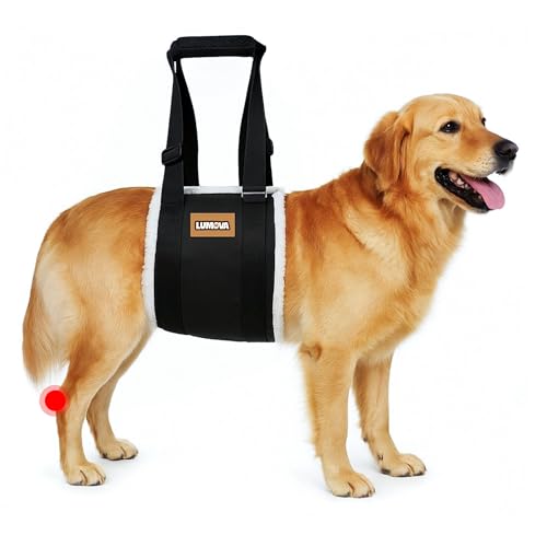 Lumova Dog Lift Harness – Adjustable Sling for Large Dogs Hind Leg Support – Comfortable Dog Support Harness for Back Legs – Recovery Sling for Dogs Elderly or Injured (Large (L)) by Lumova - Used condition - US$16.99