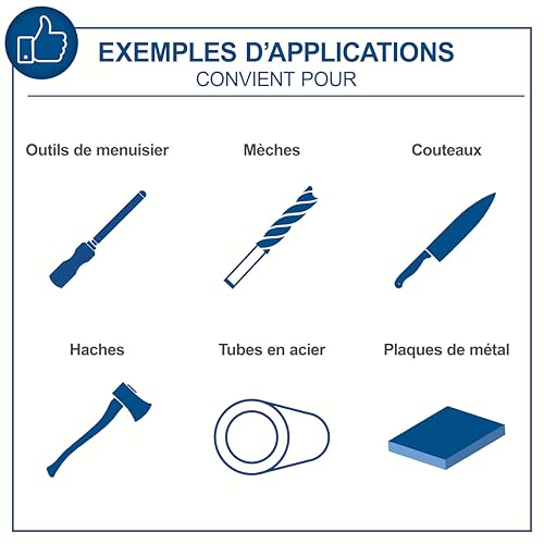 Touret meule 200 mm Scheppach BG200W induction pour affûtage et meulage