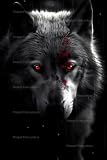 12x12 inch Red Eyes Wolf Silver and White DIY Diamond Painting Kits for Adults - Wolf Diamond Painting Kits,Full Drill Crystal Rhinestone Embroidery Craft Kits for Home Decor Gifts