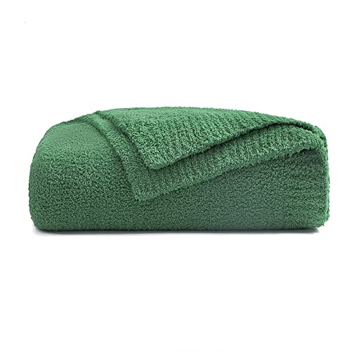 Bearberry Super Soft Fluffy Throw Blanket Lightweight Cozy Warm Bed Blankets For Couch Bed Sofa All Season (Avocado Green, 60”X80”) #TOP9