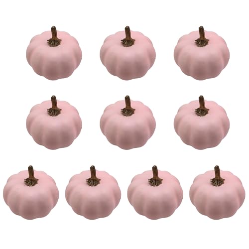 DOSERTY Confezione da 10 zucche artificiali ornamentali facili da pulire, decorazione per le vacanze, per vetrine di aule e negozi, in schiuma, per bambini