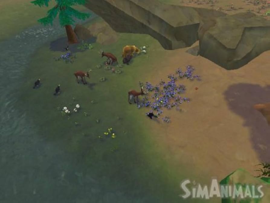 シムアニマル - Wii 2mvetro Amazon.co.jp: シムアニマル - Wii : ゲーム