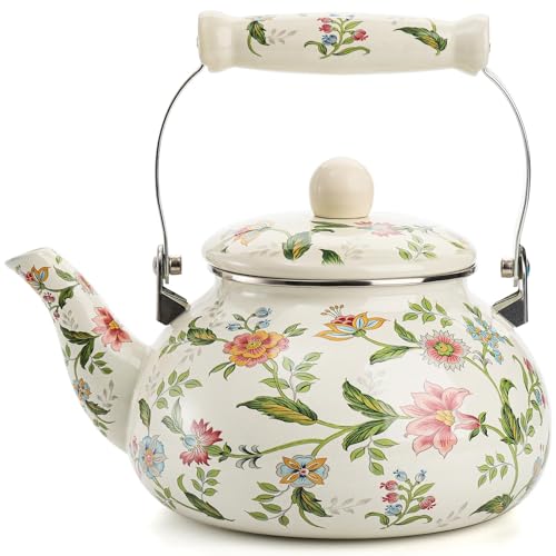 Théière émaillée vintage pour cuisinière idéale pour vos moments de détente en famille