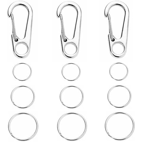 FFOFGFEM 10 Set Dog Tag Clips with Keychains Stainless Steel Dog Tag Clip Pet Tag Rings Dog ID Holder for Large Dogs Medium Sized Dogs Small Dogs and Other Pets, Silver (FF-9562) Cover