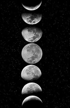 Paperback Phases of the Moon: Journal Notebook Book