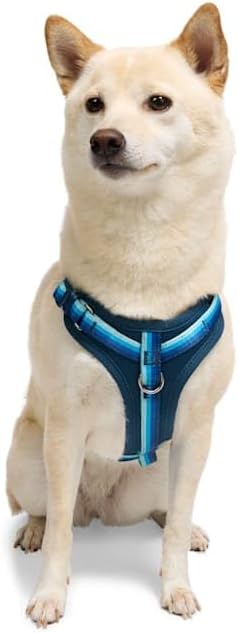 YOULY by Petco Comfort Neoprene Dog Harness Blue Medium