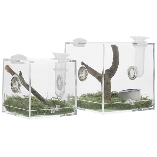 POPETPOP 2 ANWsOXpC_[P[X gOnP[W a|[gt ^঒ pώ@甠